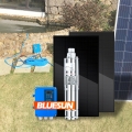Bluesun 1500W 2HP 3HP 농업용 태양열 워터 펌프 48V 깊은 우물 DC 태양열 펌프 시스템
