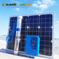DC 태양열 수영장 펌프 1HP 750W 72V 농업 관개를 위한 깊은 우물 잠수할 수 있는 태양 수도 펌프
