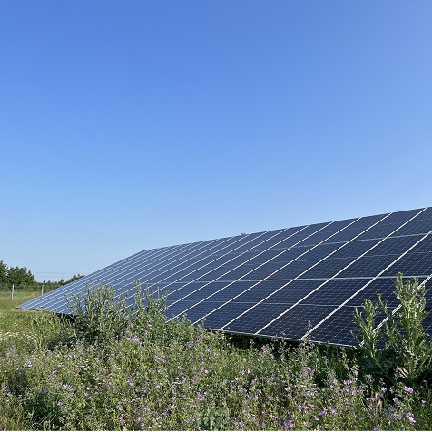 불가리아의 BLUESUN 200KW 태양광 시스템
        