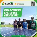15HP 태양열 농업용 워터 펌프 시스템
