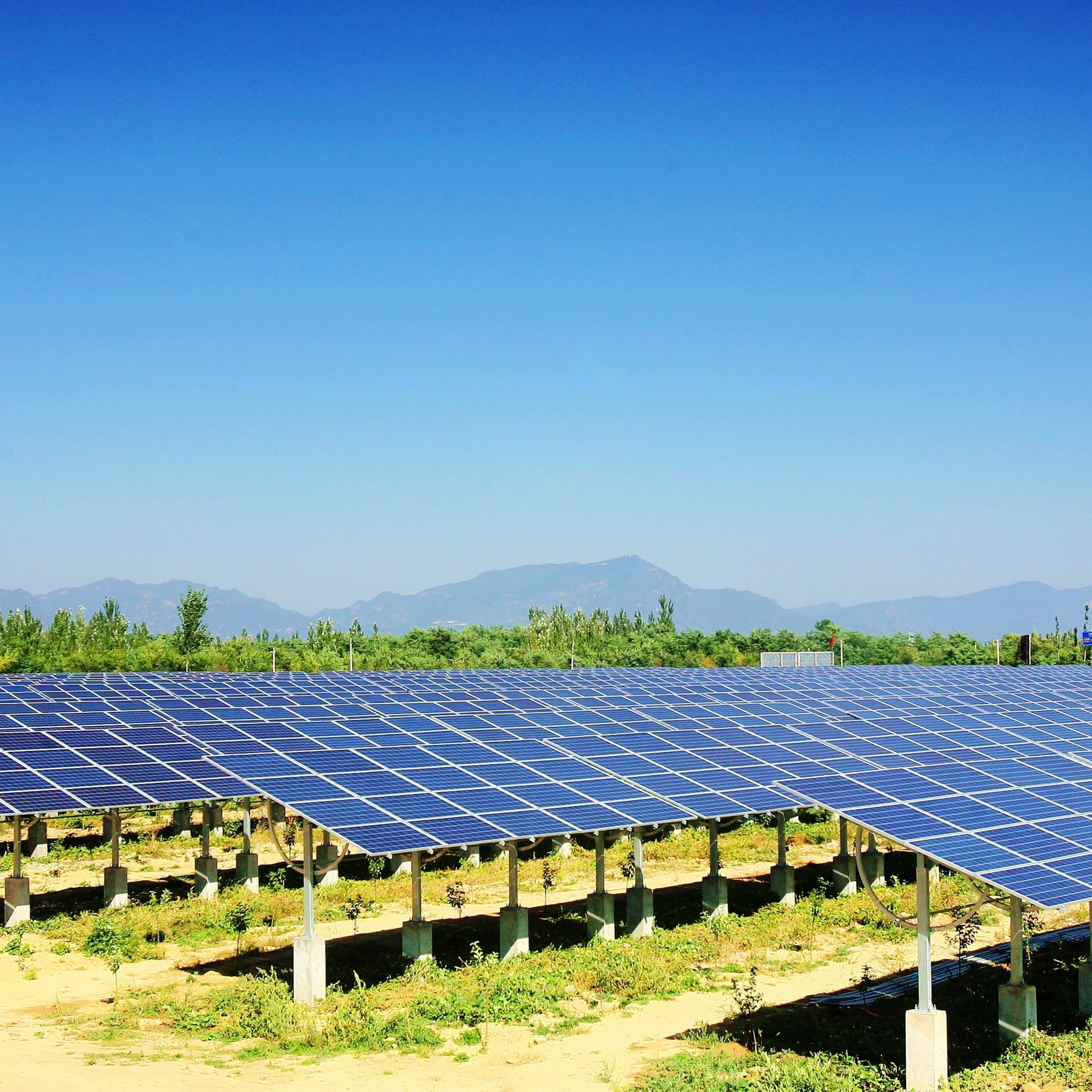 그리드 발전소 중국 1.3mw